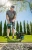 b180448ec98b4bbba66e60c5bfc241f4-jpg-gallery.big-iext206071719.webp