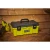 RSTB19--App_3.webp