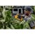 Akumulatorowy-sekator-ogrodniczy-18V-Li-Ion-serii-XR-DeWalt-DCMPP568N-XJ-52904.jpg