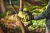 RY18PSX10A-0--App_10.webp