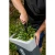 pol_pl_Rozdrabniacz-do-galezi-2500W-45mm-DEDRA-DED8680-41693_19.webp