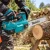 Makita DUC254 18 V podczas pielęgnacji i przycinania drzewa-Photoroom.webp