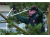 profesjonalny-sekator-dwureczny-dzwigniowy-do-galezi-800mm-Bahco-P280-SL-80-41163.png