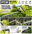 Infografika RYOBI_ precyzyjne cięcie żywopłotów.png