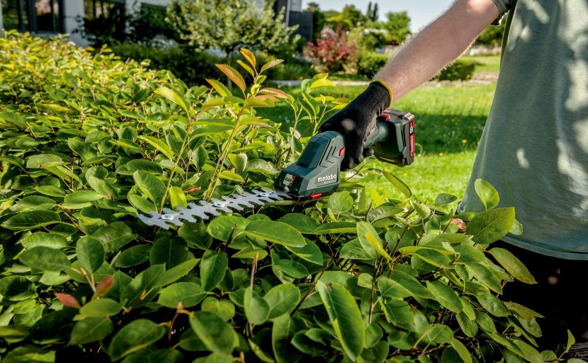 Metabo SGS 18 LTX Q podczas precyzyjnego formowania krzewu